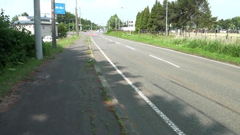 クマとタクシーが衝突した現場