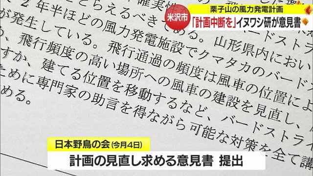 日本野鳥の会も計画の見直し求める意見書を提出している
