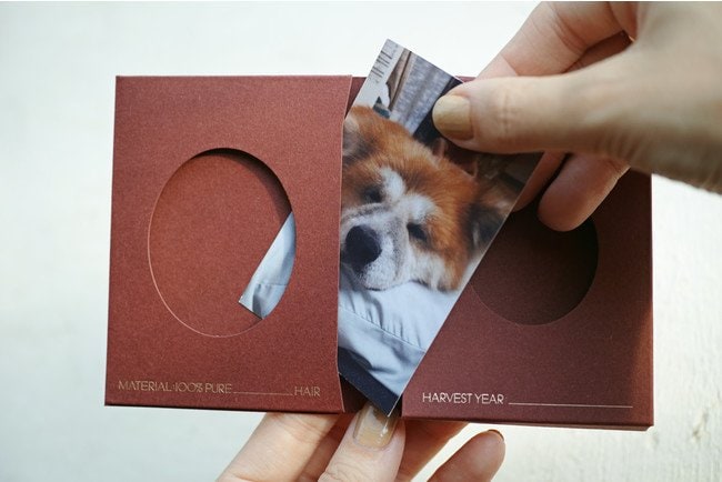 写真を入れておくこともできる