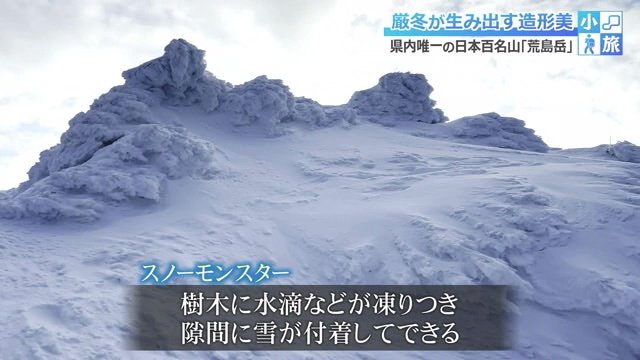 小ぶりなスノーモンスター