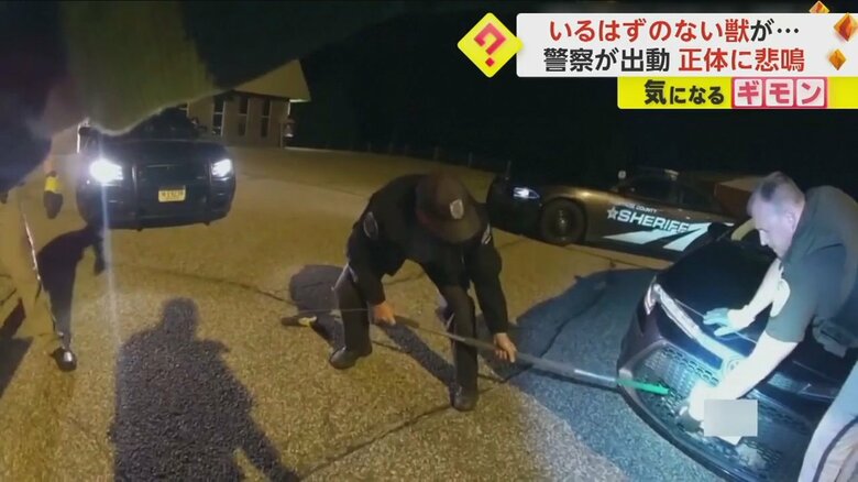 いるはずのない“獣”が警察官によって引っ張り出される様子①