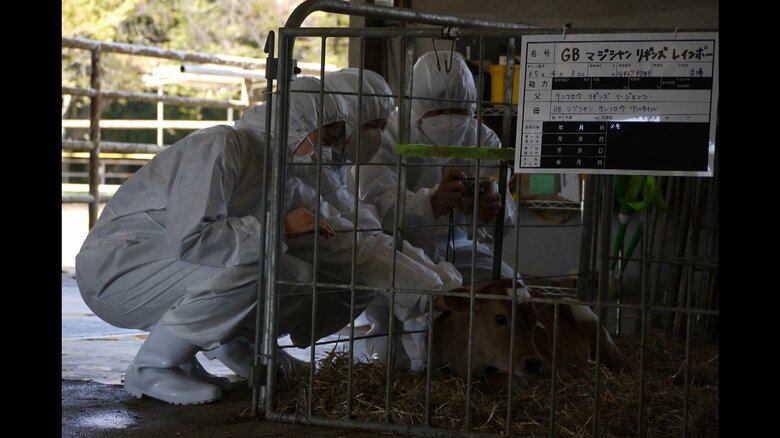 御料牧場に滞在されている際のご一家の写真が公開された（宮内庁提供）