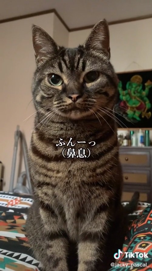 お鼻がひくひくした後は大きな鼻息