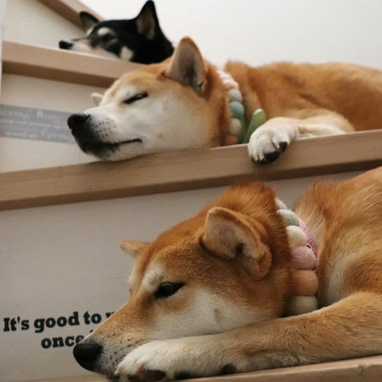 階段で並んで…