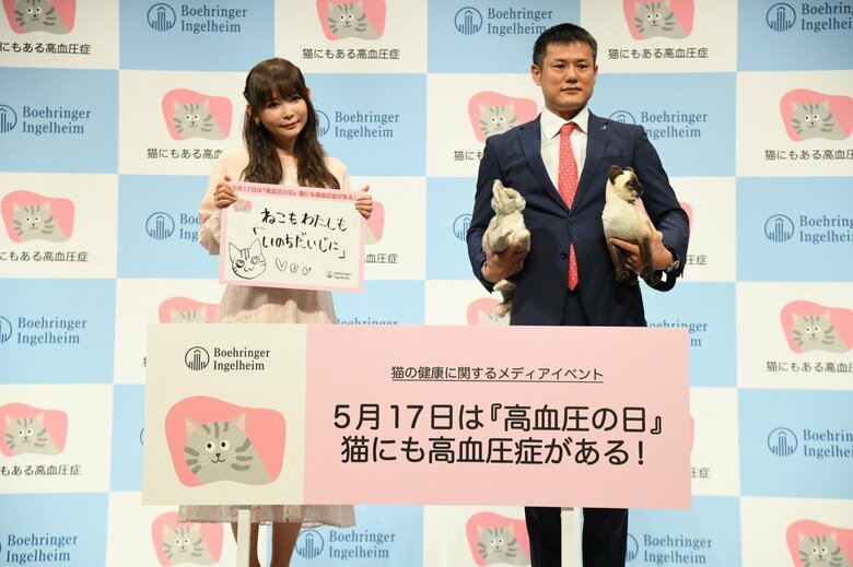 主催者名：ベーリンガーインゲルハイムアニマルヘルスジャパン　イベント名：5月17日は『高血圧の日』、猫にも高血圧症がある！