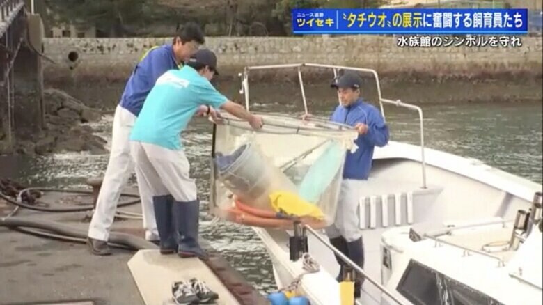 道具を船にのせる宮島水族館の飼育員