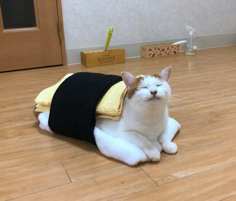 特選ぎょく一貫