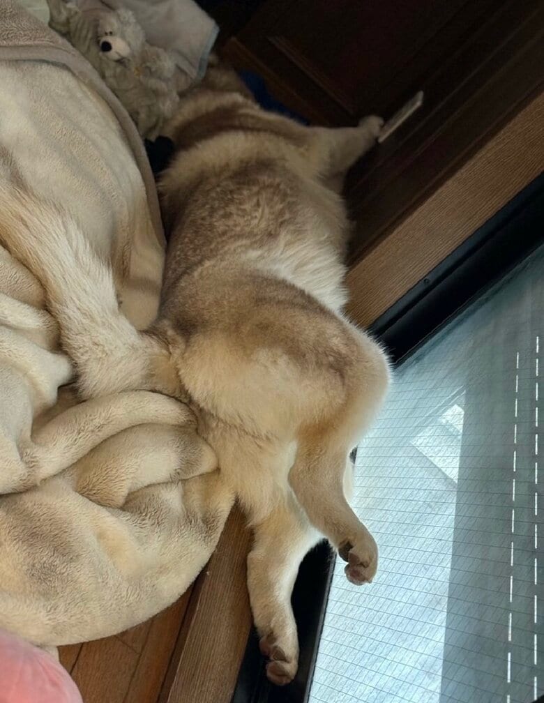 成長した現在　狭い所に顔だけ突っ込む！