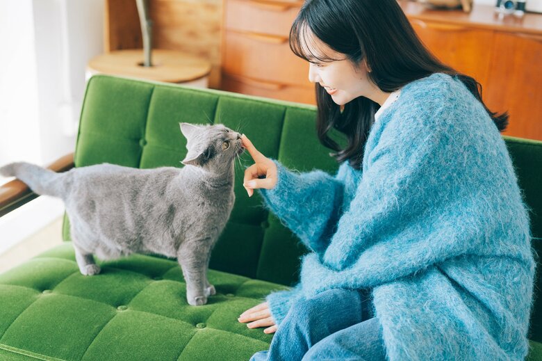 （画像はイメージ）