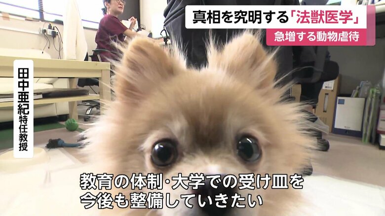 田中特任教授「受け皿整備していきたい」