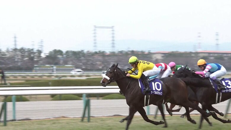 サークルオブライフ（2021年阪神JF）