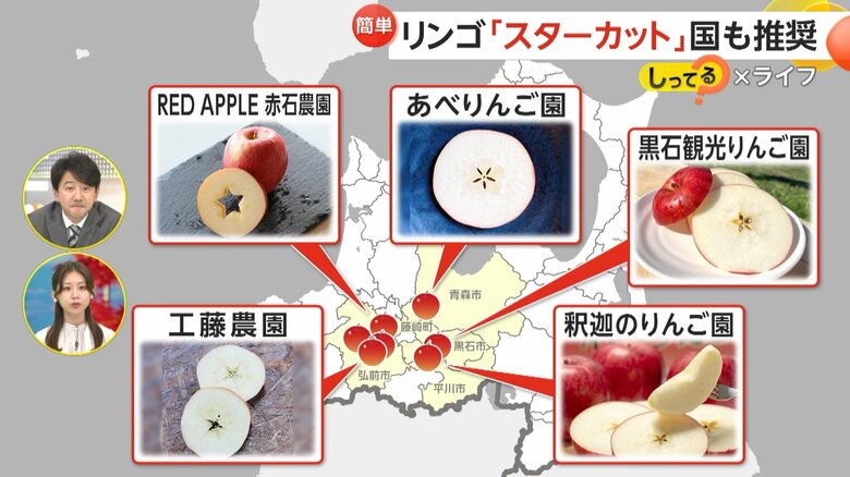 青森・弘前市周辺のリンゴ農園の切り方