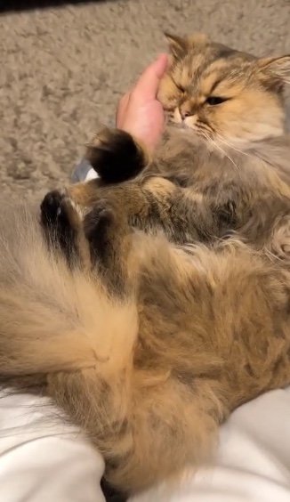 提供：ひなたさん