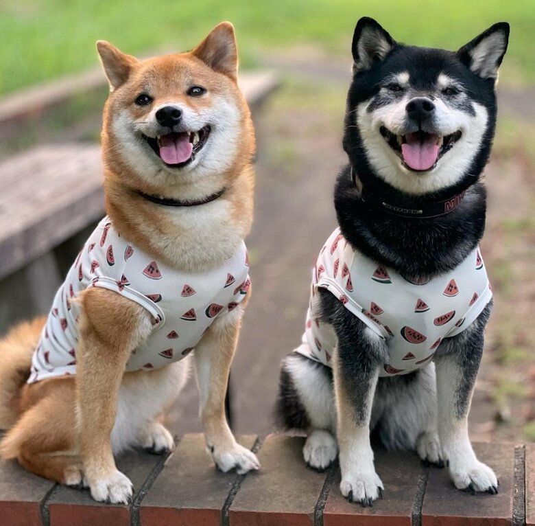 左：りなちゃん　右：みくちゃん