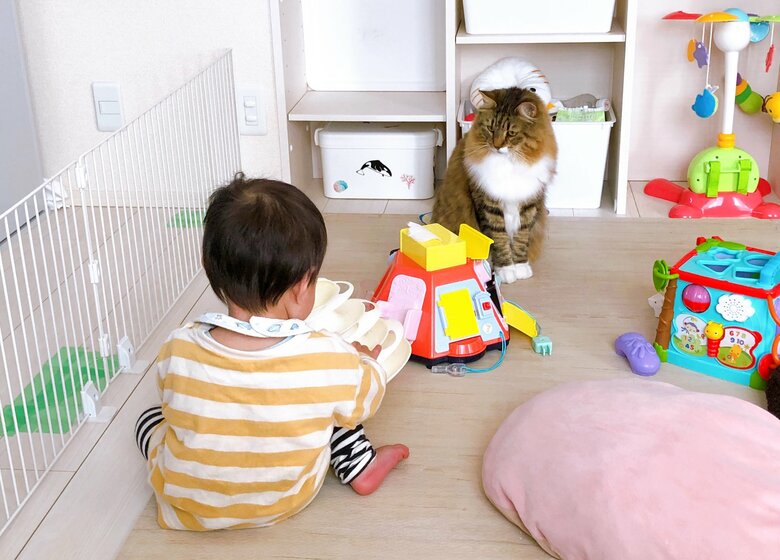 実は息子さんが遊んでいるおもちゃはルーナちゃんのもの…