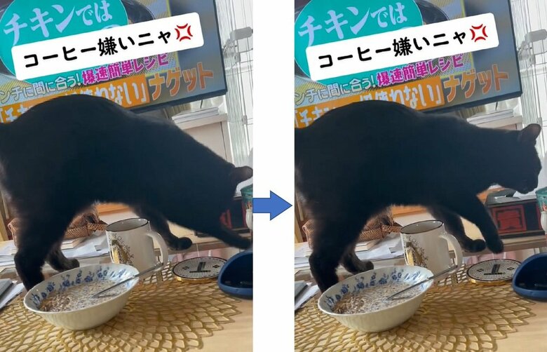 コーヒー発見！コーヒーにもカキカキ