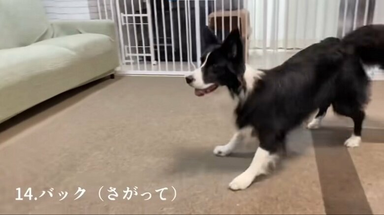 バック（下がって）