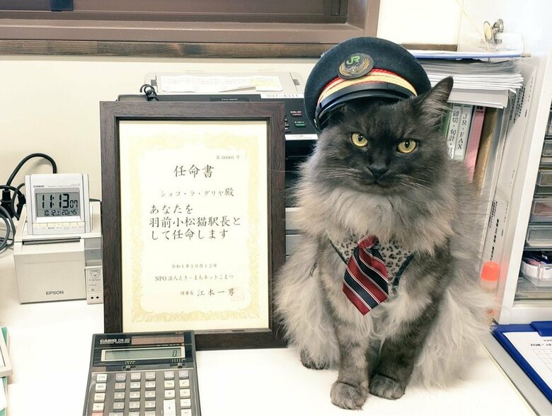 2019年10月、晴れて羽前小松駅の猫駅長に就任