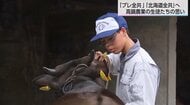 「牛なくしてこの人生なし」高校生が全国和牛能力共進会・プレ全共へ　 受け継がれる代表牛の血統と先輩のバトン