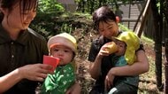 熱中症から子どもを守る　保育園では30分に1回の水分補給、部活動に「熱中対策ウォッチ」導入　「プレクーリング」は大人にも有効
