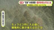 スギ花粉が本格飛散　例年とは異なる特徴「飛散を感じてから症状が強くなるまでの時間が短い」　初期療法が有効　セルフケアの実践も
