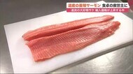 新たな「養殖サーモン」登場　脂ノリがよく程よい歯ごたえ…高級化する庶民の味を救えるか【北海道発】