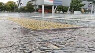 【台風情報】台風26号が関東接近へ　日本の南に“台風のたまご”熱帯低気圧も発生　「2つ来る予定なので」東京・八丈島でも警戒高まる