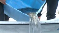 支笏湖で
