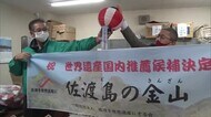 〈佐渡島の金山〉一転“推薦”へ 地元からは喜びの声「心待ちにしていた」【新潟】