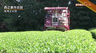 種子島で一番茶の収穫 暖冬の影響もなく例年通り400t収穫見込み