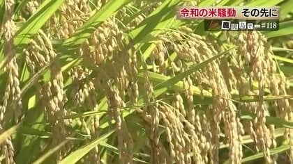 “令和の米騒動”の背景に10年ぶりの需要増と脆弱な生産体制　専門家「消費者として買い支える意識を」【鹿児島発】