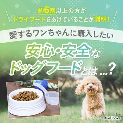 【約6割以上の方がドライフードをあげていることが判明!】愛するワンちゃんに購入したい安心・安全なドッグフードとは...?