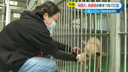 犬や猫の命をつなげ　殺処分全国ワーストの長崎で保護活動「捨てられない環境作りを」