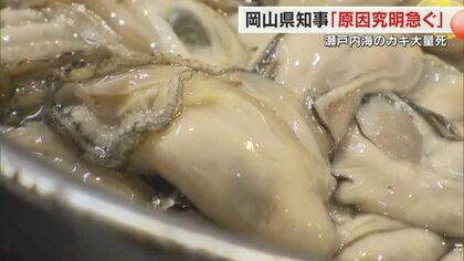 瀬戸内海の「養殖カキ大量死」岡山県・伊原木知事が業者支援策を発表　原因究明のための予算も確保【岡山】