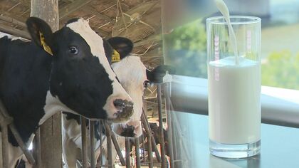 11月から乳製品値上げ… 酪農家に“円安”の打撃　「輸入依存は対策に限界」　新潟県内9軒の廃業も【新潟発】