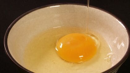 「価格の優等生」は過去の話？ 飼料高騰や鳥インフルに翻弄される“卵の価格” 洋菓子店もピンチ！ クリスマスケーキにおせち料理―年末に欠かせない卵が高騰 北海道