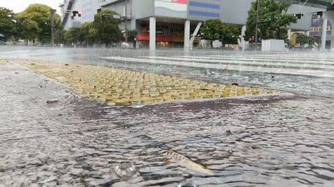 【台風情報】台風26号が関東接近へ　日本の南に“台風のたまご”熱帯低気圧も発生　「2つ来る予定なので」東京・八丈島でも警戒高まる
