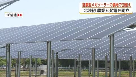 農業と発電を”同時”に 氷見市に「営農型メガソーラー」完成