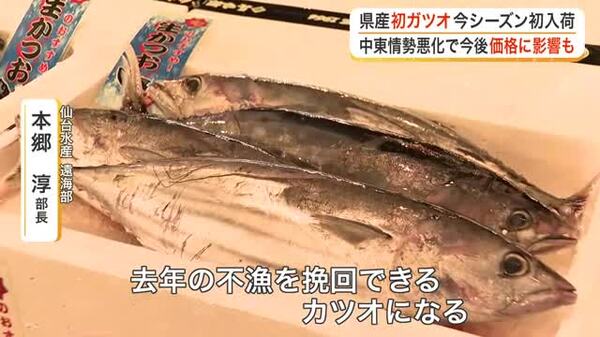 宮城県内で水揚げのカツオを初入荷 取引価格は例年並みも、中東情勢の