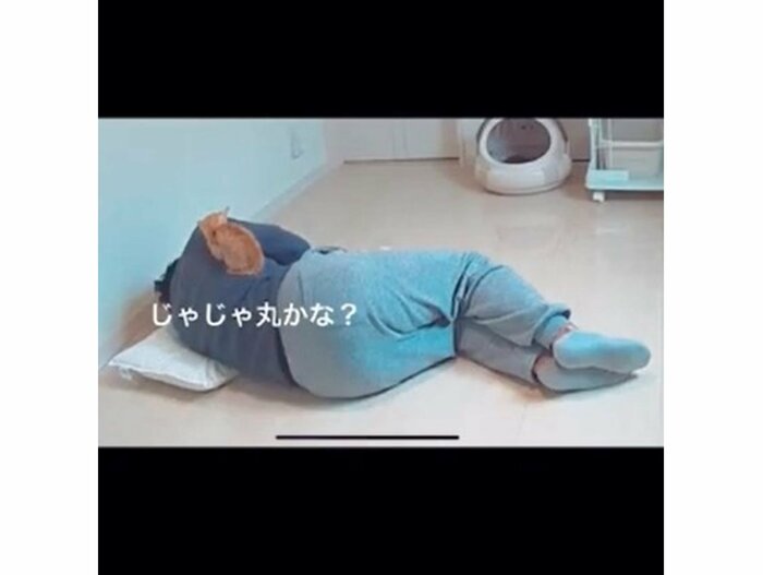 提供:oimo210さん