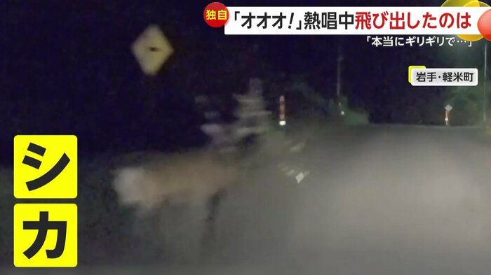 車の前に飛び出してきた「シカ」(撮影:ちぃずキッチン)