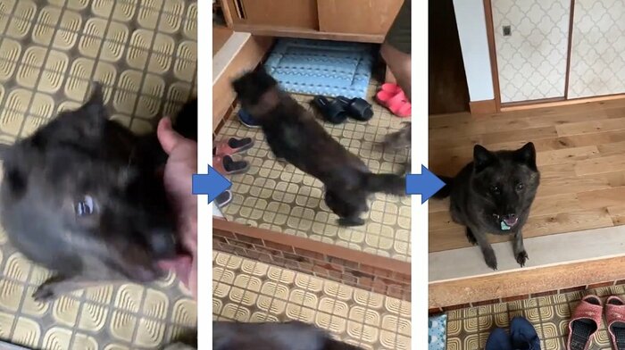 さだきちさん夫婦を玄関で迎えるななちゃん 扉を開けた瞬間からうれしそう