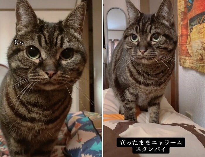 基本はおすわり状態でスタンバイ