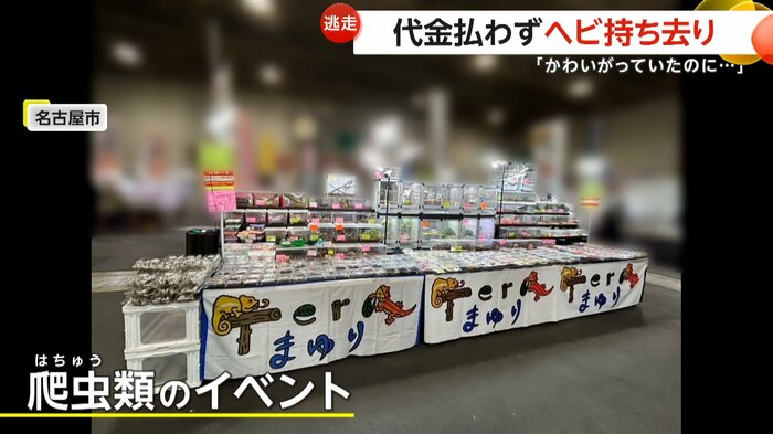 世界の爬虫類が集まったイベント会場