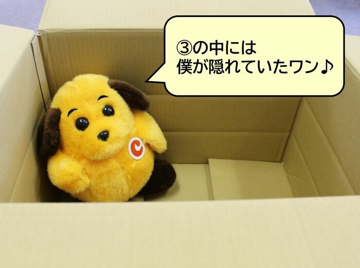 僕がかくれていたワン