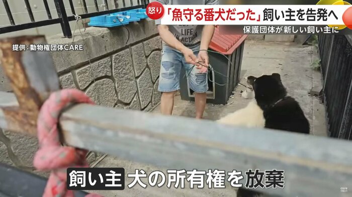 飼い主は犬の所有権を放棄し、保護団体の職員が引き取ることになった