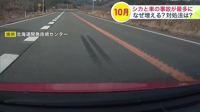 提供:北海道開発技術センター 道路にはブレーキ痕が