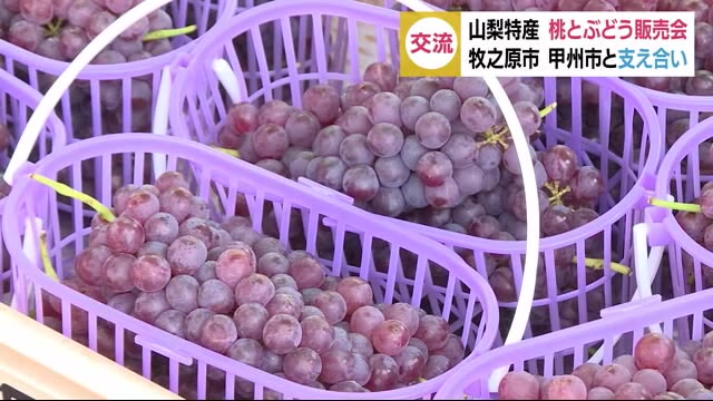 山梨を応援! 甲州産の桃とぶどうを販売 お互いに買い支える 静岡・牧之原市