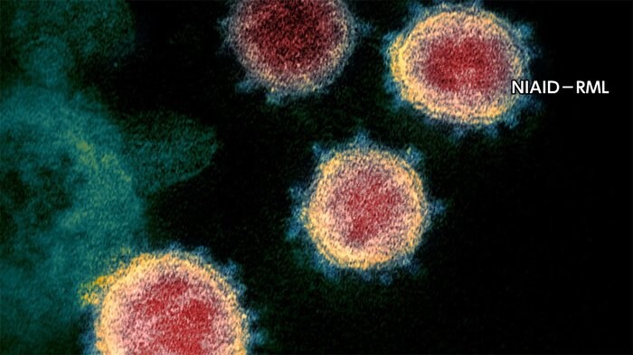 【速報】大阪府で過去最多221人の新型コロナ感染者を確認