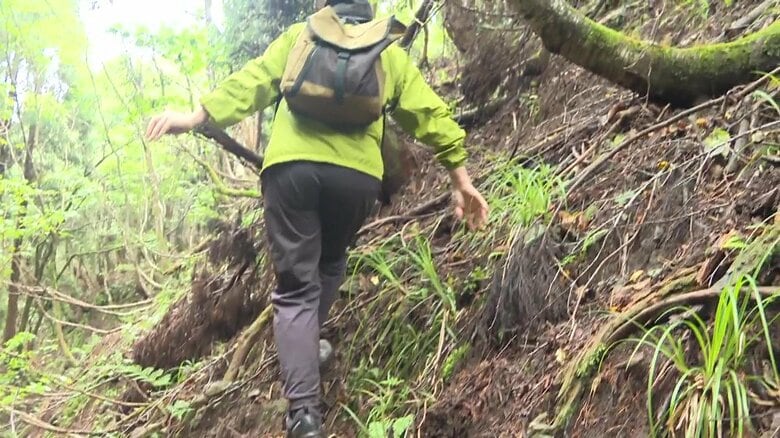 リスクの高い“単独登山”　遭難者の死亡率は“複数登山”の倍以上…警察は「安全装備」と「登山届の提出」呼びかけ｜FNNプライムオンライン
